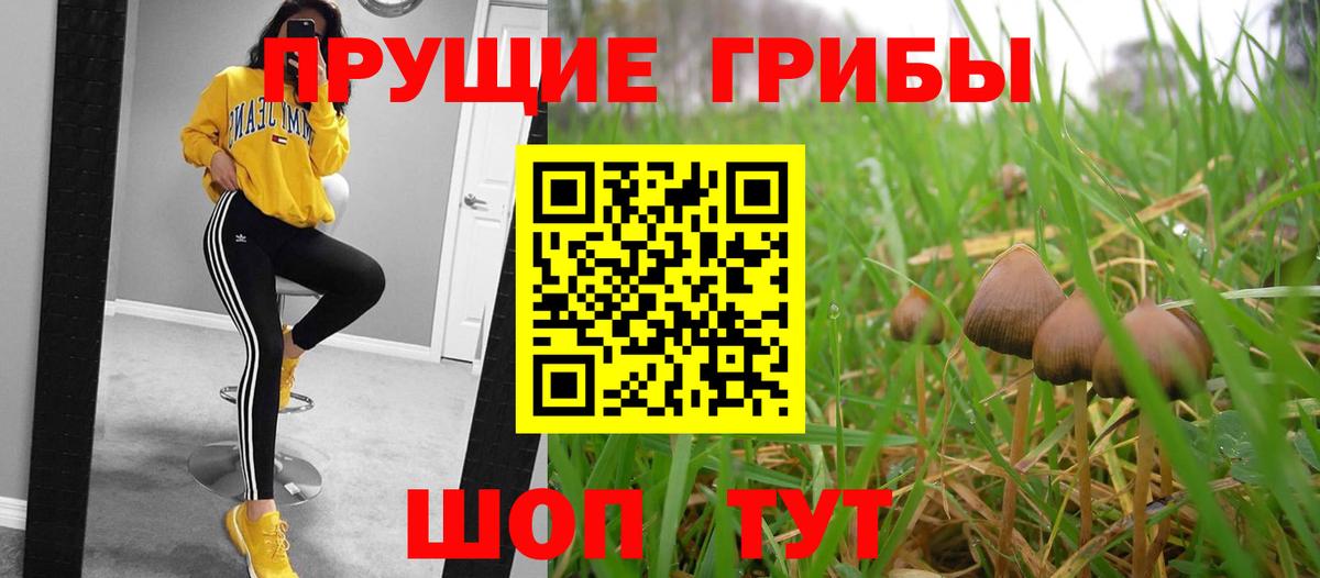 Ковров  Псилоцибиновые грибы ЛСД  где найти наркотики  Вход с VPN  Галлюциногенные грибы GOLDEN TEACHER 