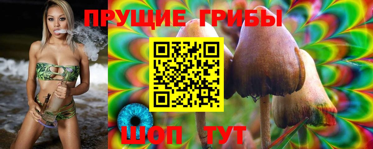 Галлюциногенные грибы GOLDEN TEACHER Ковров